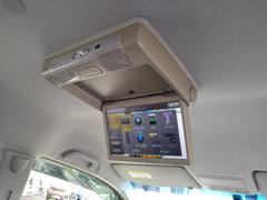 ƥåץ若󥹥ѡ ڡ륹ԥåȡ󥿡ʥӡ쥯󡡴 1230026A30251021W001 5