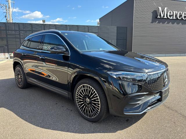 ＥＱＡ ＥＱＡ２５０＋　ＡＭＧラインパッケージ（3枚目）