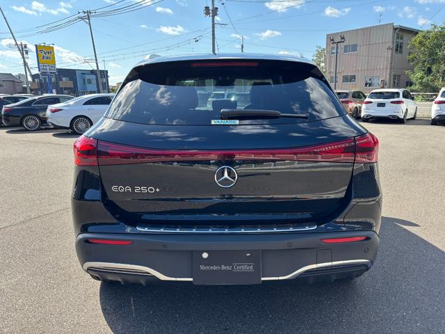 ＥＱＡ ＥＱＡ２５０＋　ＡＭＧラインパッケージ（5枚目）