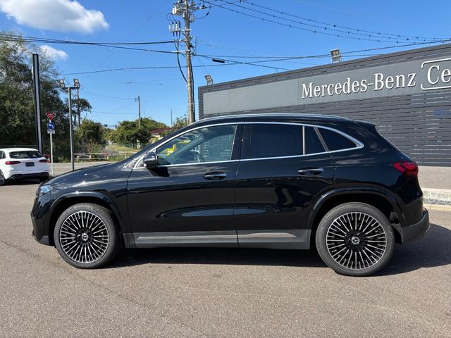 ＥＱＡ ＥＱＡ２５０＋　ＡＭＧラインパッケージ（6枚目）