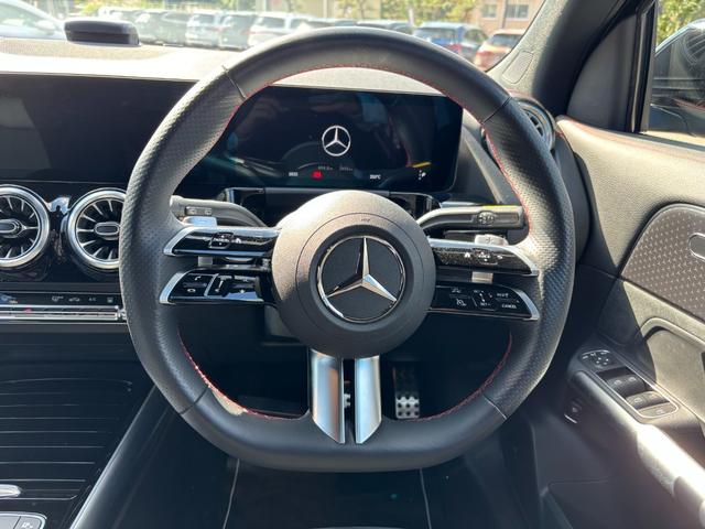 ＥＱＡ ＥＱＡ２５０＋　ＡＭＧラインパッケージ（9枚目）