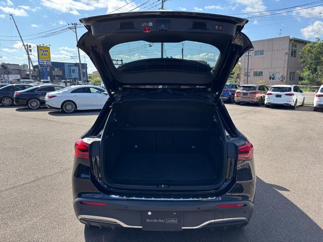 ＥＱＡ ＥＱＡ２５０＋　ＡＭＧラインパッケージ（26枚目）