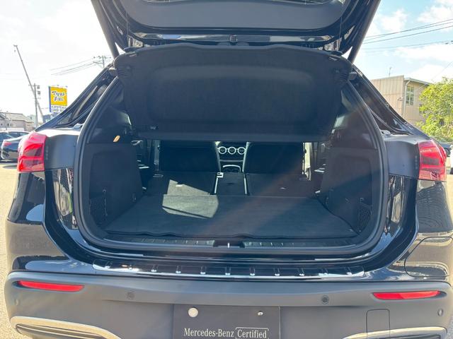 ＥＱＡ ＥＱＡ２５０＋　ＡＭＧラインパッケージ（28枚目）