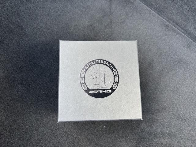 MERCEDES AMG GT 43 COUPE