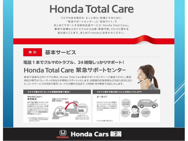 フリード＋ハイブリッド ハイブリッドＥＸ　いまコレ＋新品マット付ＨｏｎｄａＳＥＮＳＩＮＧＭナビ　盗難防止システム　衝突軽減システム　オートクルーズコントロール　地デジフルセグ　キーレス　ＵＳＢ接続　スマートキ　バックカメラ　シートＨ　ＡＢＳ（47枚目）