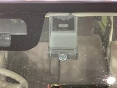 ƥ֥졼ƥ֥ƥǡͤβ򡦷ڸ˾㳲ʪεȯʤޤɥ饤֥쥳դǡξǤ¿Ǥ 5