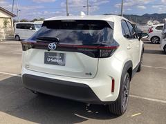 ��ư���ݸ����ʣ��Ƥ��갷�äƤ���ޤ����ޤ��������ͤΤ���˾���ݾڱ�Ĺ��ͭ���������μּ�Ǥϼ�갷���Ǥ��ޤ���ˤ⤴�������Ƥ���ޤ��� 6