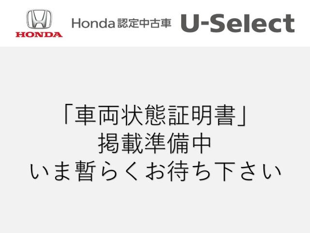 フィットハイブリッド ＲＳ　ＵＳＢ接続　スマキ－　盗難防止　ワンセグテレビ　パワーウィンドウ　オートクルーズ　キーフリー　ＳＲＳ　ＥＴＣ車載器　エアコン　ナビＴＶ　パワーステアリング　記録簿　ＤＶＤ再生　ｉストップ　ＡＢＳ（34枚目）