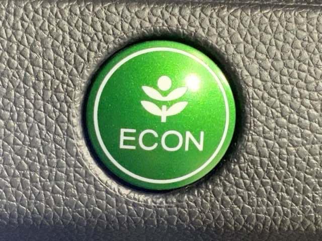 フィット １３Ｇ・Ｆパッケージコンフォートエディション　リヤビューカメラ　ＤＶＤ再生　シ－トヒ－タ－　ＶＳＡ　地デジフルセグ　ＡＵＴＯエアコン　キーレスエントリー　ＡＢＳ　エアバッグ　パワーウインドウ　記録簿（30枚目）