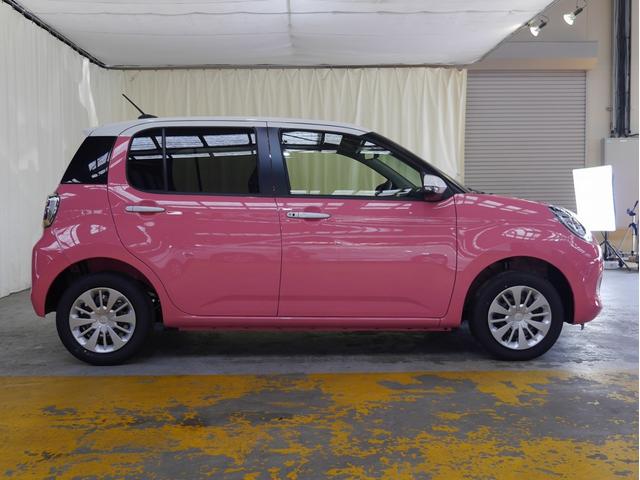 スタイル SAIII 登録済未使用車 純正ナビ フルセグTV(13枚目)