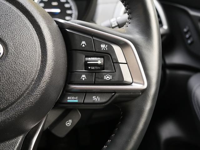 フォレスター アドバンス　４ＷＤ　Ｂｌｕｅｔｏｏｔｈ接続　純正７インチナビ　フルセグＴＶ　アイサイト　Ｆ．Ｓ．Ｒカメラ　電動バックドア　ＬＥＤヘッドランプ　デジタルインナーミラー　全席シートヒーター（49枚目）
