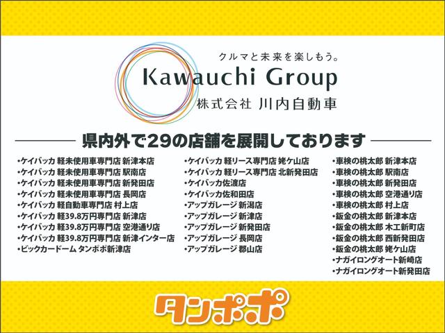 ロッキー プレミアムG HEV 登録済未使用車 9インチスマホ連携ディスプレイオーディオ パノラマモニタ-パック スマートキー(56枚目)