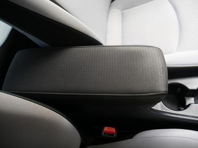 ���J�b�v�z���_�[