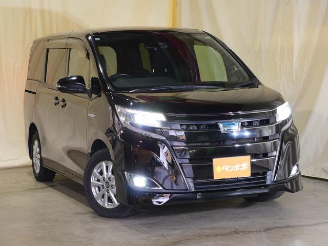 ����؂Ȃ��N���}�Ƃ̏o����؂ɂ��A�[�Ԏ��̃A�j�o�[�T���[�ɂ͔[�Ԏ��B���N���}�̌��N�f�f�̒�������E�E�E���ׂĎ������ƈꏏ�ɕ��݂܂��傤�B�u��肩��������܂Łv���N���}�̎��͗����Ă��������B