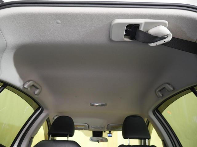 ���㕔���Ȃ�|�����Ƃł���ɍL�X��ԁ�