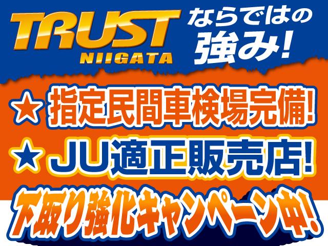 アクア Ｓスタイルブラック　セーフティセンス　バックカメラ　社外ナビ　ワンセグ　スマートキー　電格ミラー　ＥＴＣ　アームレスト　シートリフター　走行６万ｋｍ台（58枚目）