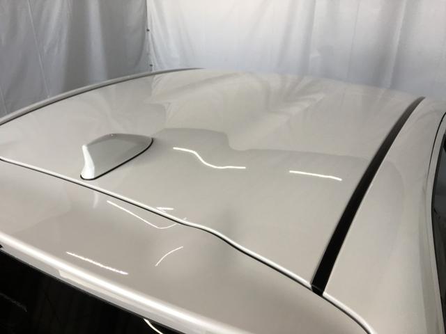 �������������V�N�ȃN���}�����ג����������܂��l�b�g�Ɍf�ڂ���Ă��Ȃ��N���}�����X���ג��I�I�����ҏ����Ȃ̂Ő��񂲗��X��������