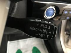 Ǥݸ谷ȥ饹Ȥ»ݥѥŹǤͤΥˡ˹礦ݸƤƤޤ 7