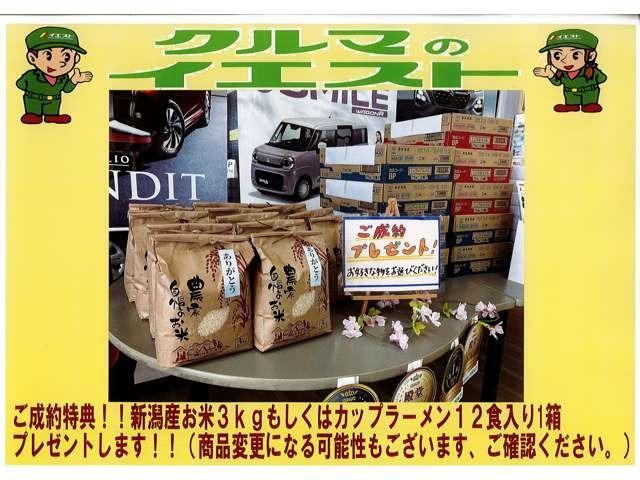 ｅＫスペース Ｍ　衝突被害軽減装置　純正ナビ　フルセグＴＶ　ＥＴＣ　両側スライドドア　アイドリングストップ　シートヒーター（49枚目）