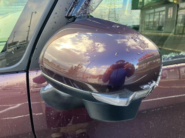 タンク G-T ターボ スマートアシスト 純正ナビ フルセグTV バックカメラ 両側パワースライドドア クルーズコントロール オートライト オートハイビーム プッシュスタート スマートキー 夏タイヤ4本新品交換(24枚目)