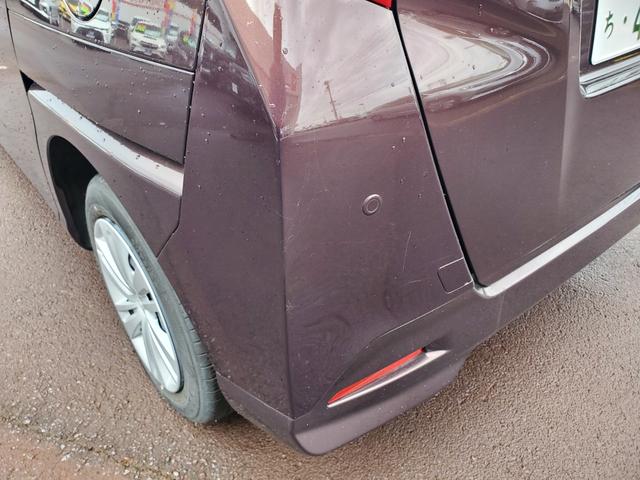 トール X(7枚目)