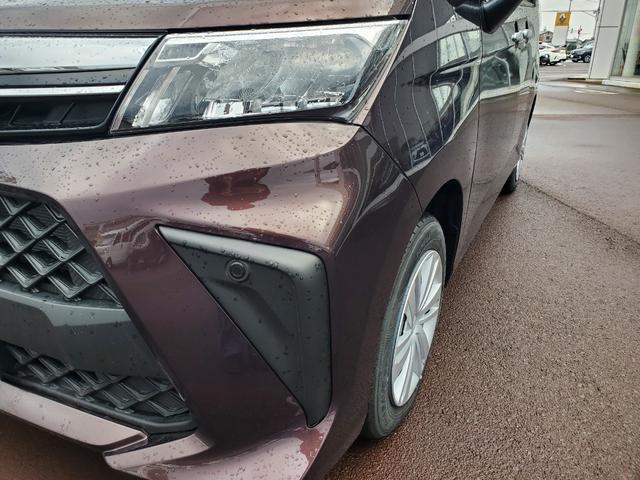 トール X(18枚目)