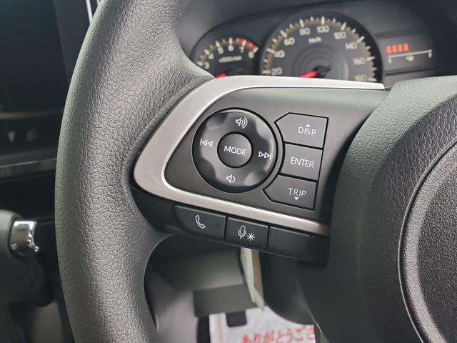 トール X(21枚目)