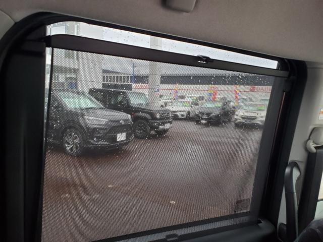 トール X(24枚目)