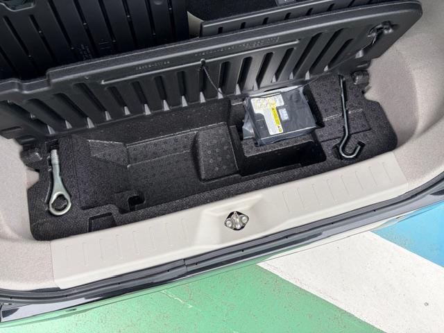 ステラ Ｌ（24枚目）