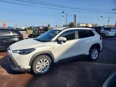 饯 ϥ֥åɡ 1230301A30251017W001 6