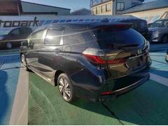 ����ȥ� �ϥ��֥�åɡ��ۥ�����󥷥� 1230301A30251224W006 2