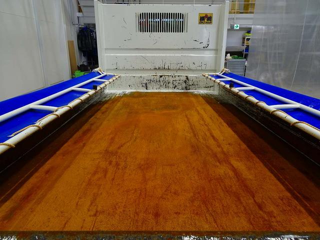 デュトロ 全低床 2t FJL 強化ダンプ 三方開 手動コボレーン付 集中ドアロック 左電格ミラー ルームミラー式バックモニター 車線逸脱警報装置 トラクションコントロール(21枚目)