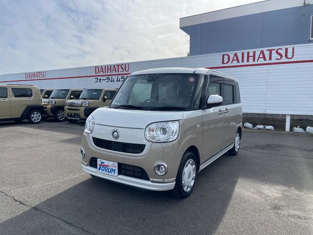 ムーヴキャンバス Ｇメイクアップリミテッド　ＳＡＩＩＩ（3枚目）