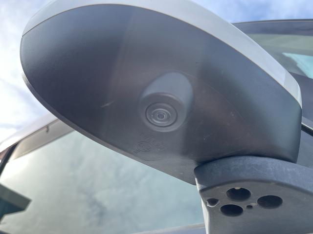 ムーヴキャンバス Ｇメイクアップリミテッド　ＳＡＩＩＩ（15枚目）