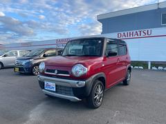 ϥ顼 ǥܡףġﳲڸ֥졼ãĥǥȥ 1230370A30251202W009 3