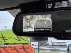 �ǥ��� �ء��֥��쥯�����ܥ����եƥ��ɣɡ����ԣ��������������ʥӡ��ե륻���ԣ� 1230390A30251213W002 2