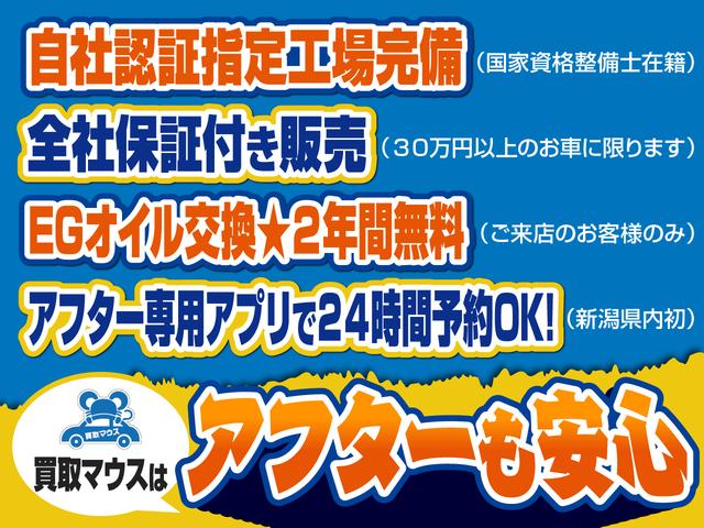 ＤＸコンフォート　オリジナルカーキボディ　ルーフキャリア　トヨタセーフティセンス　ナビ　地デジ　Ｂｌｕｅｔｏｏｔｈ(3枚目)