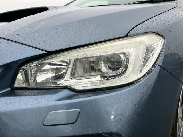 全車キャンペーン中！