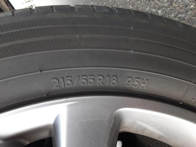 �u���̎Ԃ̎ʐ^�������ƌ������v�u��Ԃ��C�ɂȂ�v�u���̑����͂��Ă���H�v�ǂ�ȏ����ȋ^��ł����C�y�ɂ��₢���킹���������I