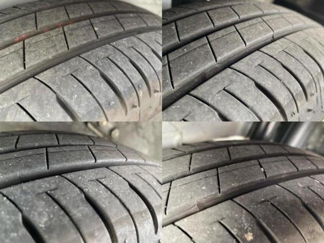 �u���̎Ԃ̎ʐ^�������ƌ������v�u��Ԃ��C�ɂȂ�v�u���̑����͂��Ă���H�v�ǂ�ȏ����ȋ^��ł����C�y�ɂ��₢���킹���������I