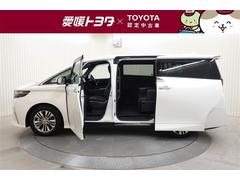 ե ڡ롼աե륻꡼ʥӡʥ˥ 1300032A20250623T001 3