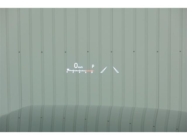 ランドクルーザー ＺＸ　革シート　４ＷＤ　フルセグ　メモリーナビ　ＤＶＤ再生　後席モニター　バックカメラ　衝突被害軽減システム　乗車定員７人　３列シート　ワンオーナー　記録簿　アイドリングストップ（20枚目）