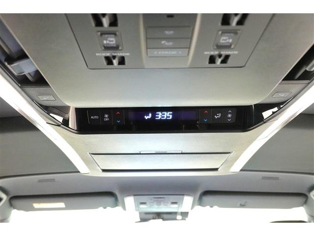 �����G�A�R���Ō�Ȃ̕������K�ɂ���蒸���܂��I