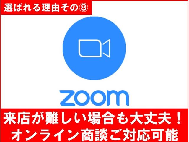 ＶＰ　キーレス　マニュアルエアコン　パワステ　運転席・助手席エアバック　盗難防止システム　衝突安全ボディ　フロアオートマ　ヘッドライトレベライザー(51枚目)