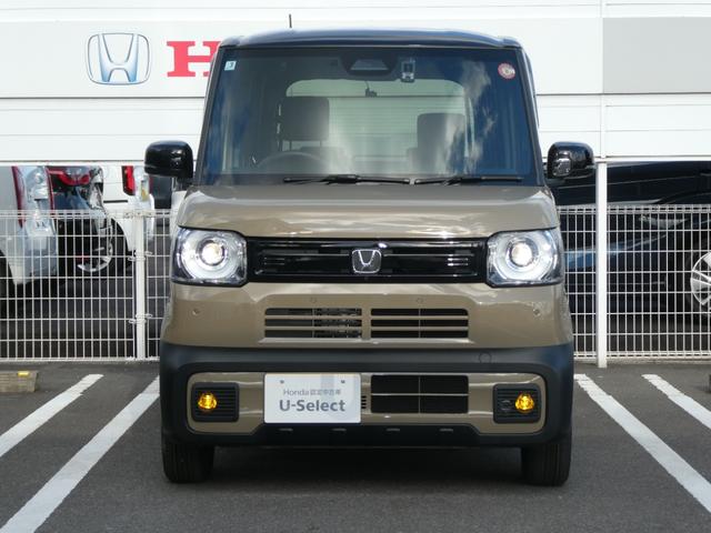 �y�k�d�c�w�b�h���C�g�z