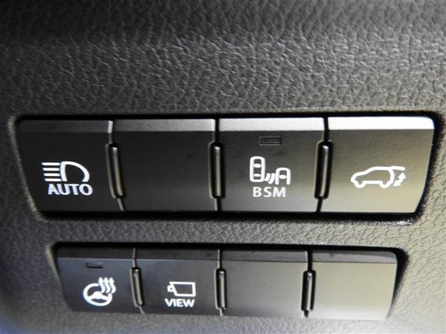 NX300h クール&ブライト サンルーフ 純正SDナビ・TV・Bluetooth バック・サイドカメラ スマートキー ドラレコ レザーシート パワーバックドア レーダークルーズコントロール エアロパーツ ブラインドスポットモニター(22枚目)