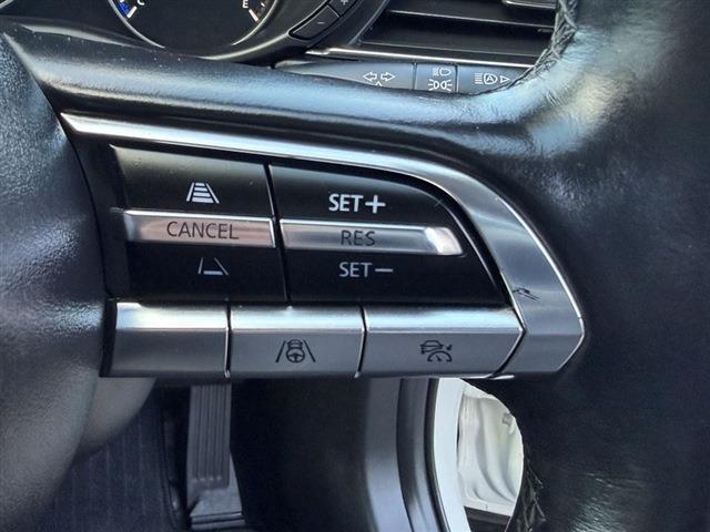 CX-30 20S プロアクティブ ツーリングセレクション 純正ナビ・TV Bluetooth 全周囲カメラ ETC パワーシート シートヒーター LED レーダークルーズコントロール ブラインドスポットモニター パワーバックドア ヘッドアップディスプレイ(30枚目)