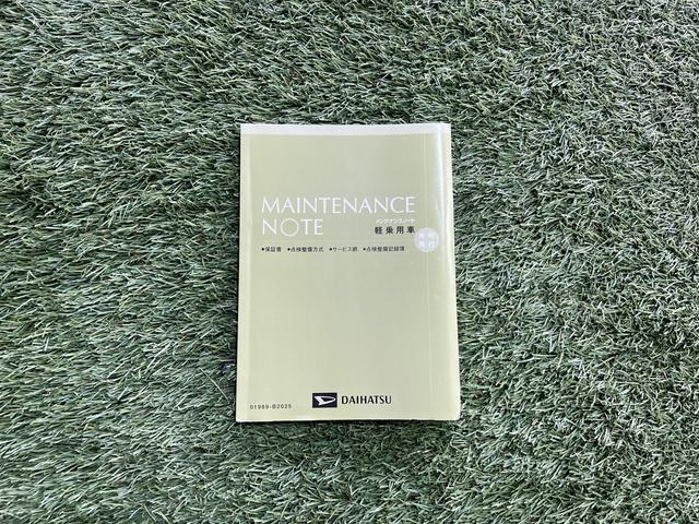 �T���̂��o�����ɂ��������߂̂P��ł�