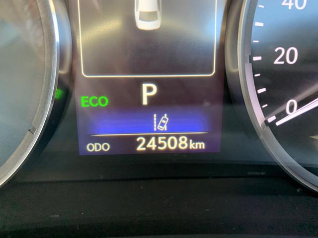 IS IS300h バージョンL(48枚目)