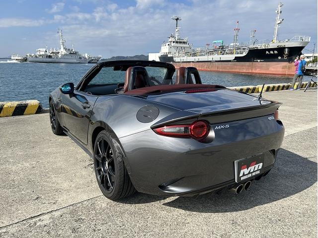 全体的に綺麗な個体です